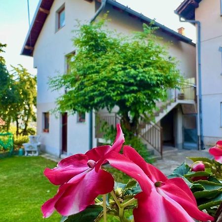 Apartman Amila サラエヴォ エクステリア 写真